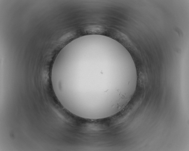 X0000113890259200910151340
