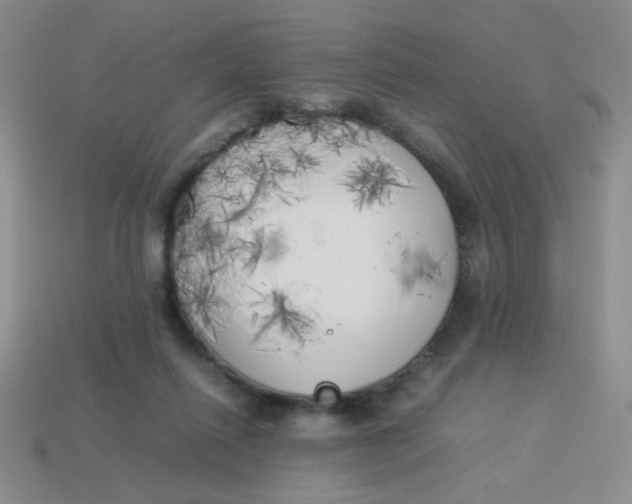X0000113890262200910151341