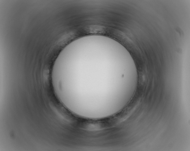 X0000113890263200910151341