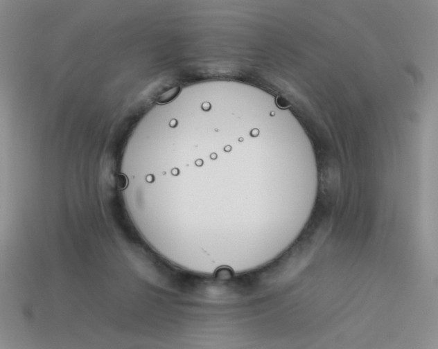 X0000113890264200910151341