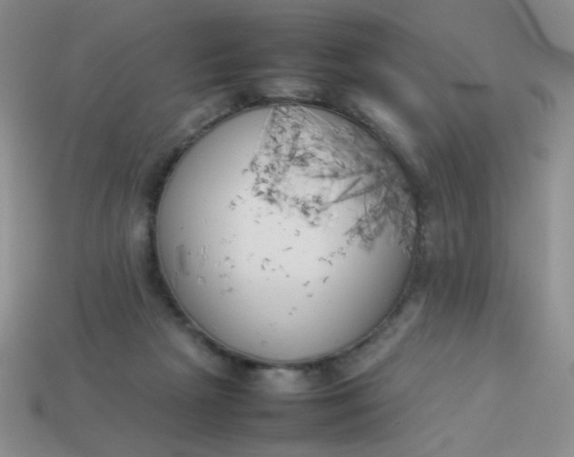 X0000113890265200910151341