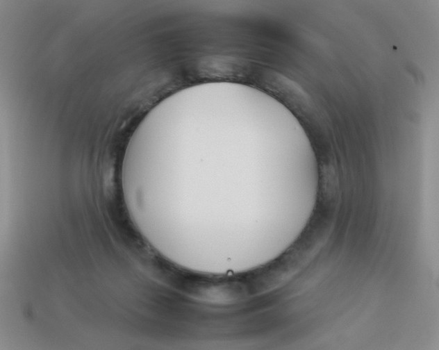 X0000113890267200910151341