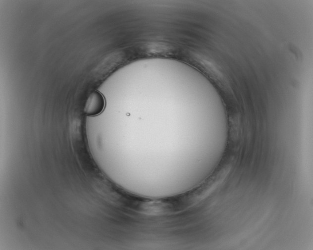 X0000113890269200910151341