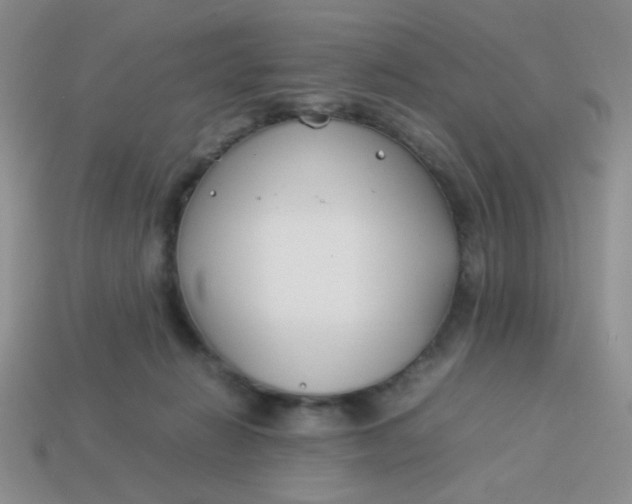 X0000113890270200910151341