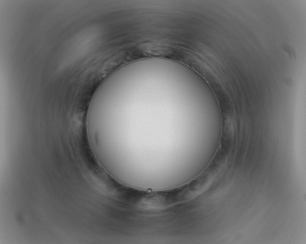 X0000113890271200910151341