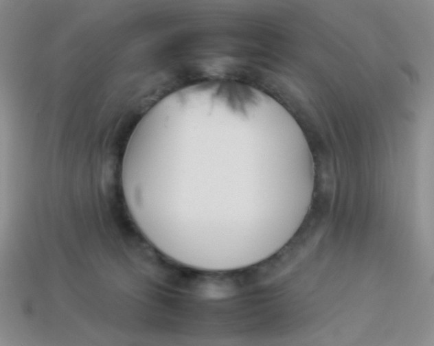 X0000113890275200910151341