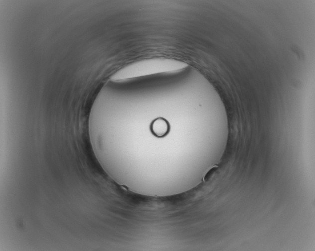 X0000113890276200910151341