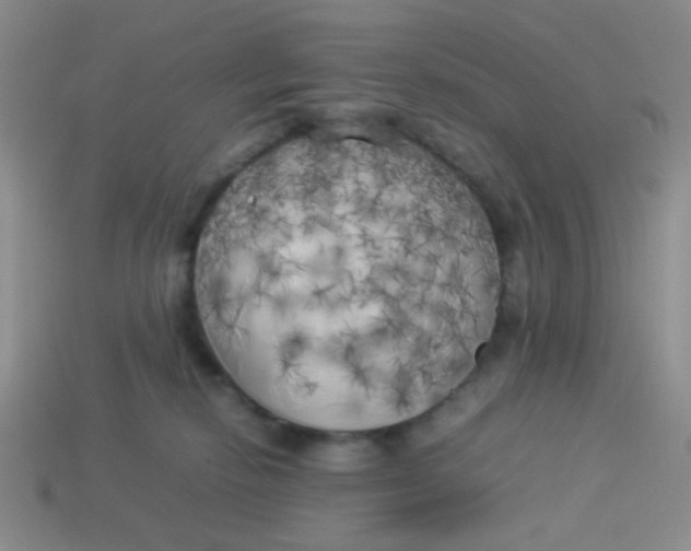 X0000113890278200910151341