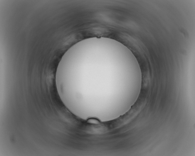 X0000113890279200910151341