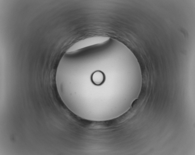 X0000113890280200910151341