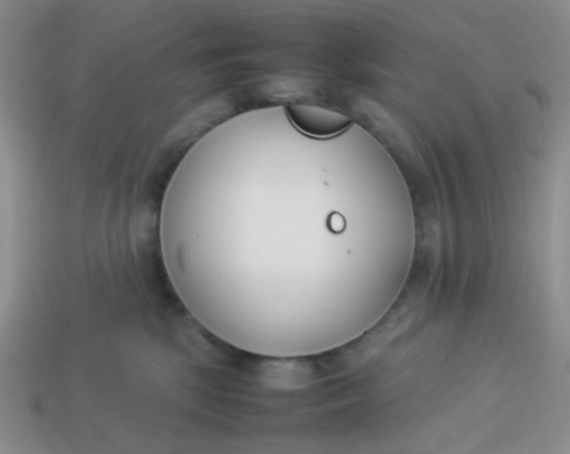 X0000113890281200910151341