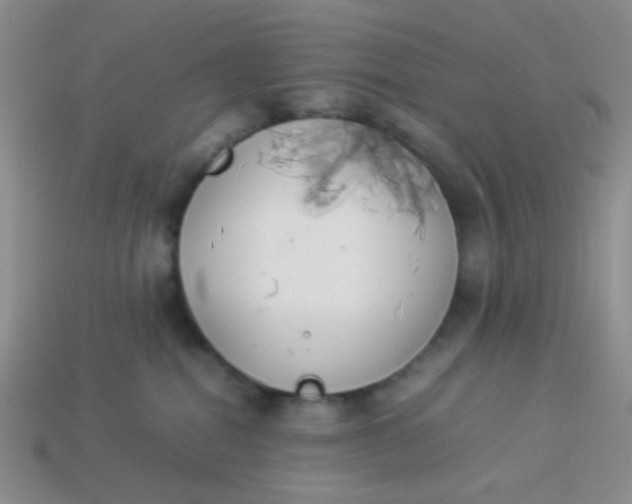X0000113890282200910151341