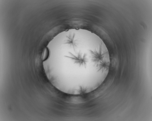 X0000113890283200910151341