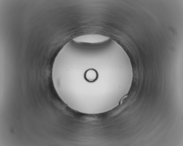 X0000113890284200910151341
