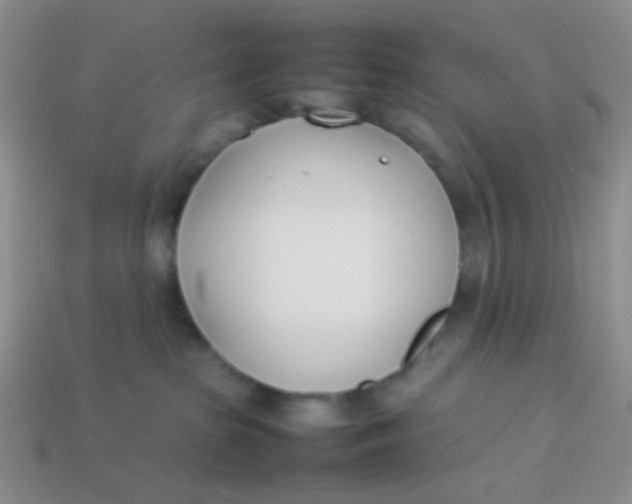 X0000113890285200910151341