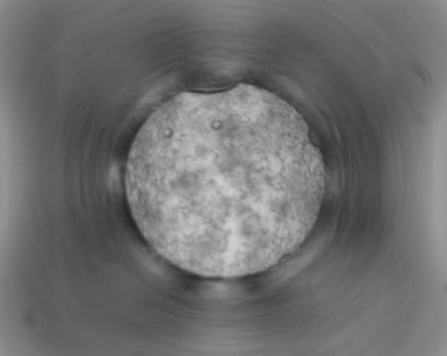 X0000113890286200910151341