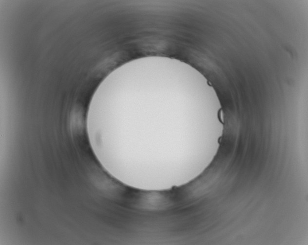 X0000113890287200910151341