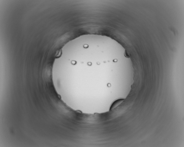 X0000113890288200910151341