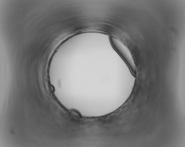 X0000113890289200910151340