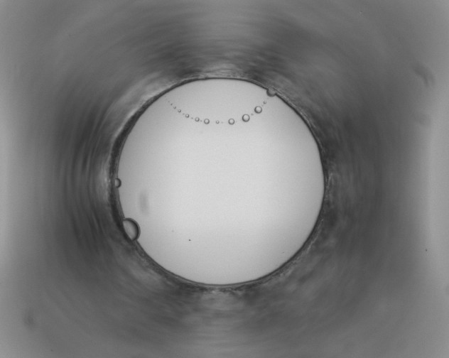 X0000113890290200910151340