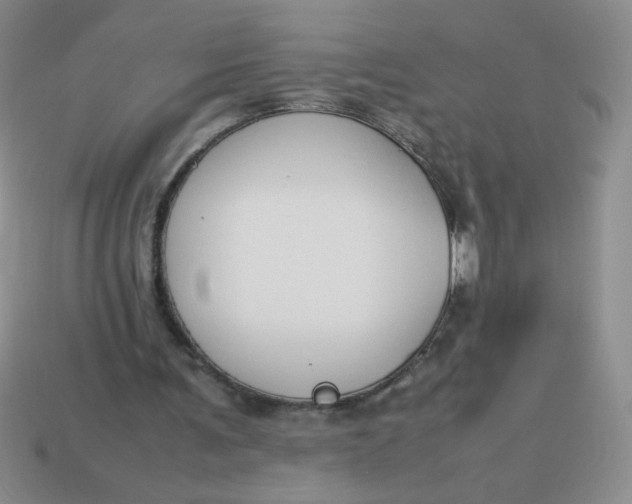 X0000113890291200910151340