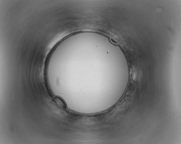 X0000113890292200910151340