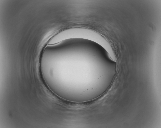 X0000113890293200910151340