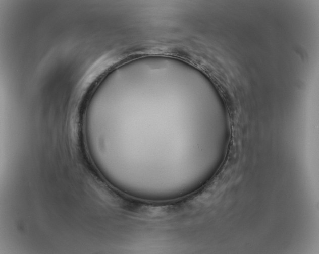 X0000113890295200910151340