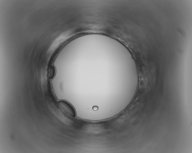 X0000113890296200910151340