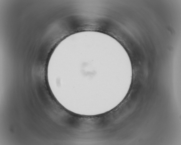 X0000113890297200910151340