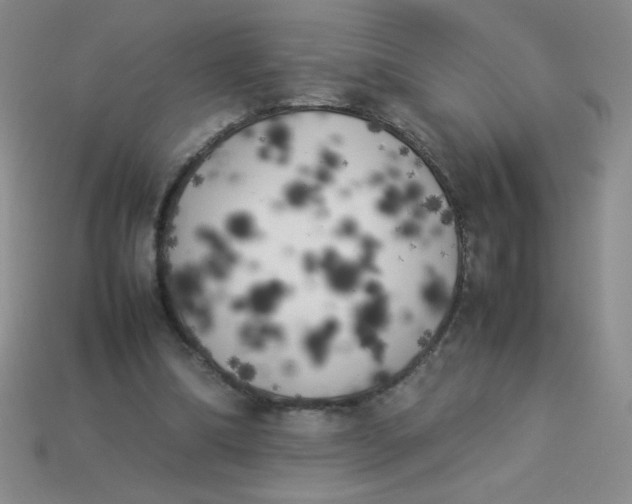 X0000113890298200910151340