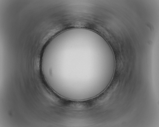 X0000113890299200910151340