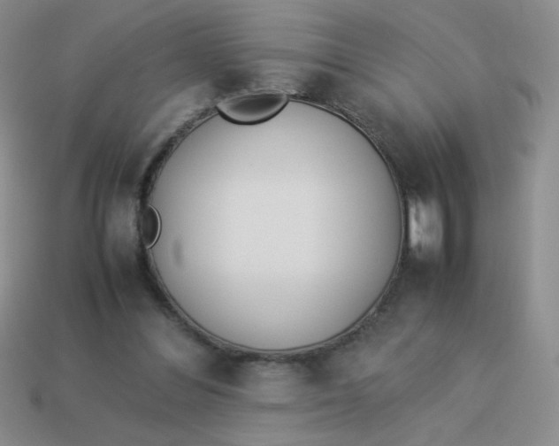 X0000113890300200910151340
