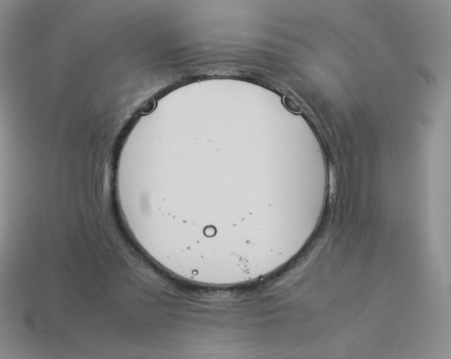 X0000113890301200910151340