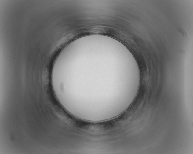 X0000113890303200910151340