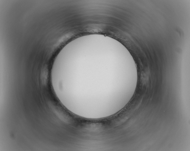 X0000113890304200910151340