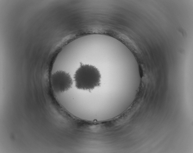 X0000113890306200910151340