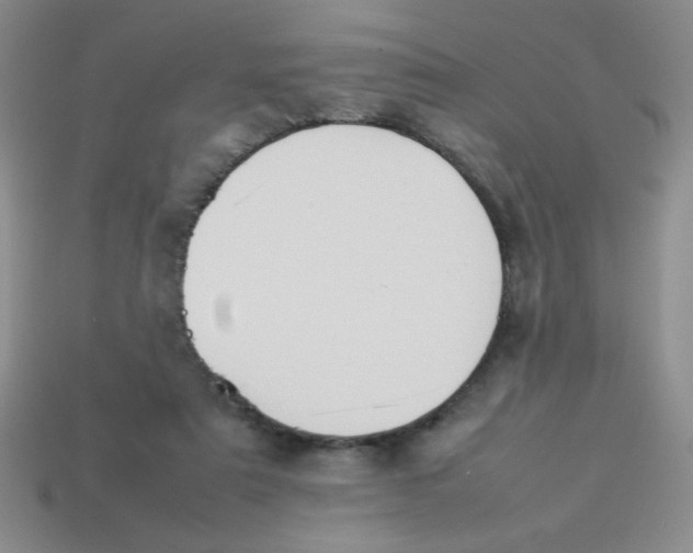 X0000113890307200910151340
