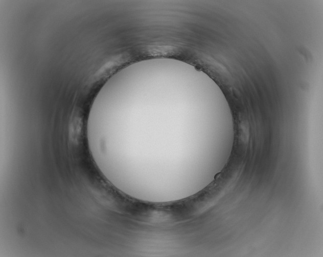 X0000113890308200910151340