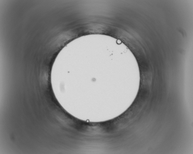 X0000113890309200910151340