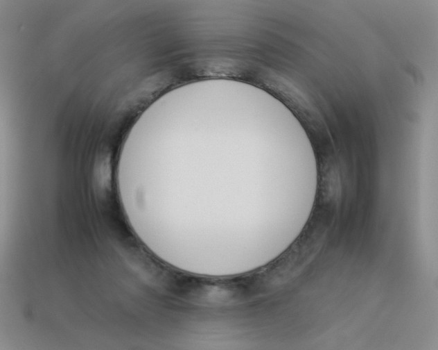 X0000113890310200910151340