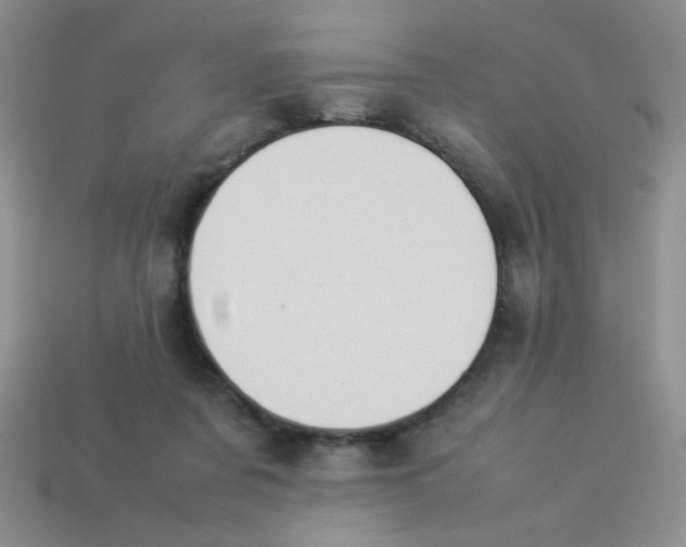 X0000113890311200910151340