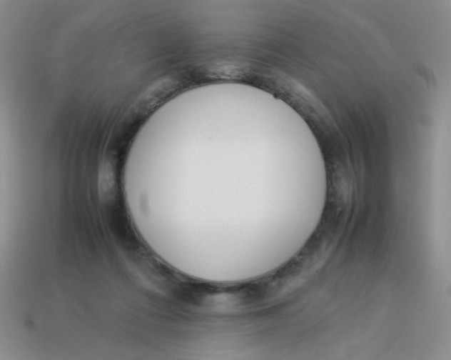 X0000113890312200910151340