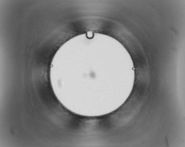 X0000113890313200910151340