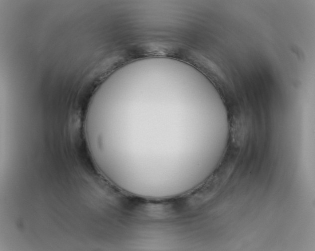 X0000113890314200910151340