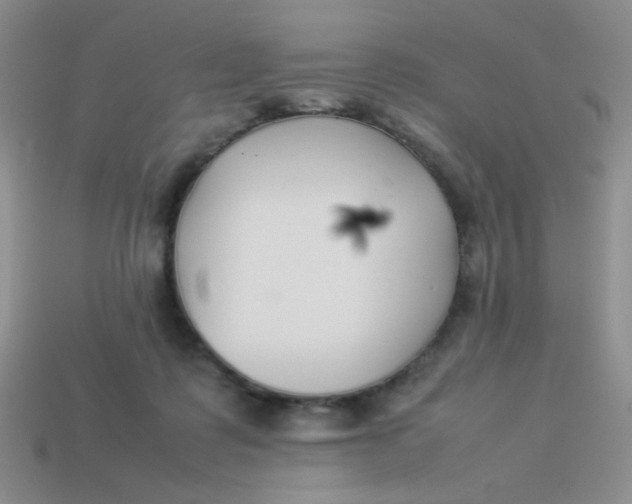 X0000113890315200910151340
