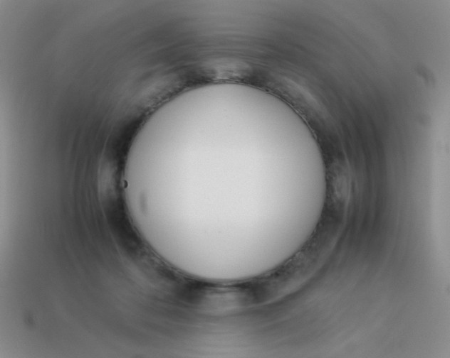 X0000113890316200910151340