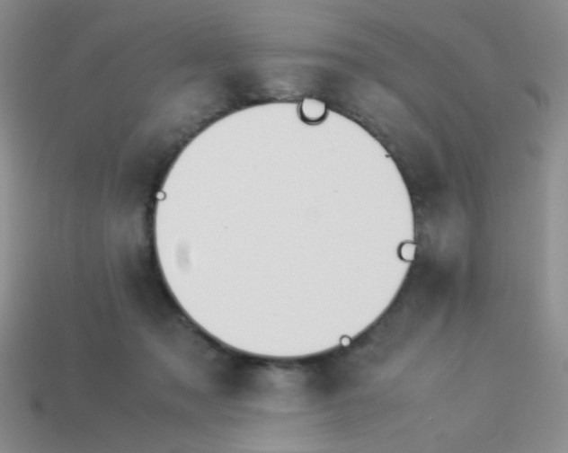 X0000113890317200910151340