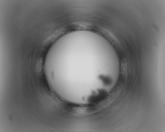 X0000113890318200910151340