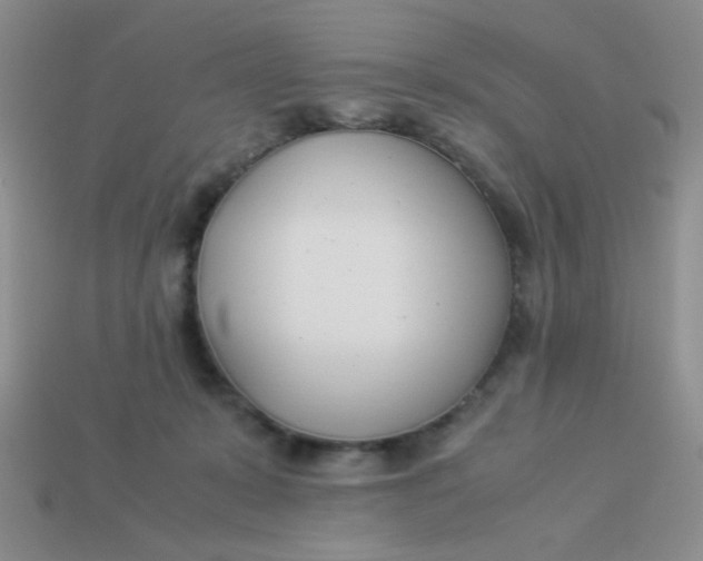 X0000113890319200910151340